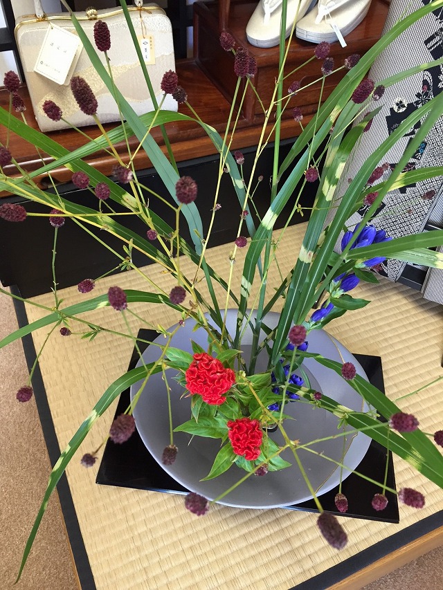秋草の生け花 秋草の生け花