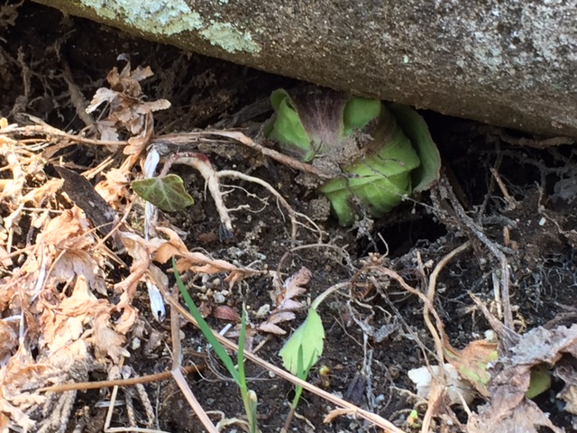 春の訪れ 春の訪れ